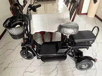 Triciclo Eléctrico de 3 Ruedas para Adultos, 3 Velocidades, Mini Scooter Eléctrico de 10 Pulgadas, Batería de Plomo-Ácido para Desplazamientos Urbanos, Uso con Mascotas y Pasajeros
