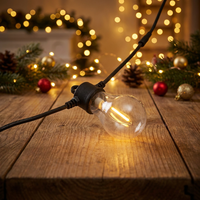 Décorations de Noël, guirlandes lumineuses LED en cuivre imperméables pour l'extérieur, pour Noël, Halloween, la Saint-Valentin, Pâques et la décoration intérieure