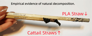 Disposable Drinking <b>Straws</b> <b>Bamboo</b> Grass Mixed <b>Straws</b> for Festival Party Gathering - Product Image 5