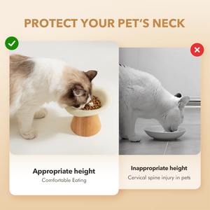 Shamitao Eco-Friendly 2-in-1 Tempat Makan Hewan Peliharaan Anti-Selip Bentuk Bunga dengan Alas Kayu Tahan Lama Grosir Pabrik Mangkuk Kucing dan Anjing - Product Image 5