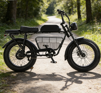 Bicicleta eléctrica para adultos, bicicleta eléctrica de largo alcance para desplazamientos, bicicleta eléctrica para mascotas, bicicleta eléctrica todoterreno con cesta, bicicleta eléctrica urbana para desplazamientos.