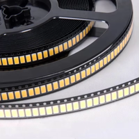 5730 SMD LED Puce Diode Blanc Couleur 6000-6500K 5.70x3.00mm Taille 120deg 10LM