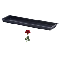 Plateaux plats pour mousse florale en plastique biodégradable écologique pour la maison et le jardin, plateau de semis pour semis de légumes et micro-légumes