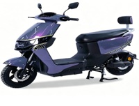 Moto électrique dynamique de marque YT, pneu tubeless 11-30, 1000W 60V, écran LCD, roue de 11 pouces avec frein à disque, cyclomoteur adulte 55km/h