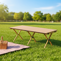 Table pliante portable en acier au carbone, design moderne, légère, pour camping, pique-nique, plage, cuisine extérieure, directement de l'usine