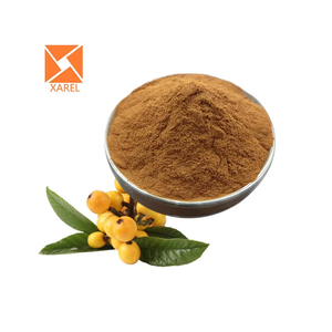 Wholesale High Quality <strong>Chinese</strong> Plant Natural Loquat Leaf Loquat Leaf <strong>Extract</strong> <strong>Powder</strong> - Product Image 1