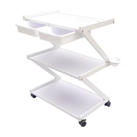Chariot de Salon de Beauté Commercial Tomspa au Design Moderne en Fer avec 4 Roues et Tiroirs pour Salon et Bureau à Domicile TS-4111
