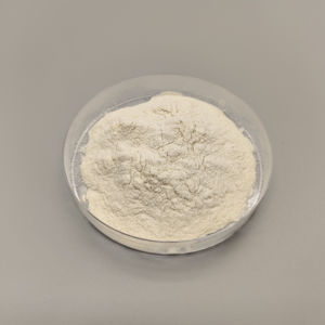 厂家直销热销工业级壳聚糖KG用于水处理 - Product Image 3