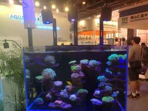 Ensemble de Scaping de Récif Moderne 120CM pour Aquarium de Poissons, Roches Bio-Actives Écologiques, Filtre pour Cuisine, Salon, Bureau - Product Image 6