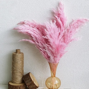 Colorido seco lujo Pampas hierba penacho flor Natural Real conservado salvaje seco Pampas hierba para decoración de boda - Product Image 5