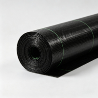 Toile de paillage tissée noire en PP résistante aux UV pour conteneurs, destinée aux serres en Espagne, aux sols de pépinières et à la plantation printanière