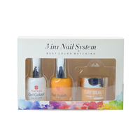 Kit de poudre de trempage 3 en 1 pour vernis à ongles Gel UV, nouveau, vente en gros d'usine