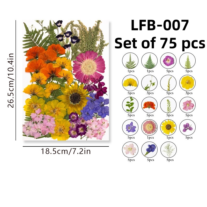 LFB-007