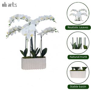 Oh Arts Fleurs Artificielles, Orchidées Artificielles, Phalaenopsis en Soie au Toucher Réel, Orchidées Près de Chez Moi, Fleur d'Orchidée - Product Image 6