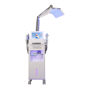 15-in-1 Multifunction Facial Care Machine Oxygen Skin Rejuvenation Anti-Aging Stainless Steel Deep Cleansing Beauty Equipment - Product Image 6