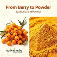 ActivaHerbs Natuurlijk Duindoornvruchtenpoeder Duindoornbessenpoeder Hippophae Rhamnoides voor Voedingssupplement