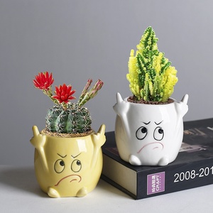 Maceta de Cerámica con Diseño de Personajes de Dibujos Animados, para Plantas Suculentas, Decoración Personalizada de Escritorio, <span class=keywords><strong>Pequeña</strong></span>, para Expresión Creativa Transfronteriza - Product Image 3