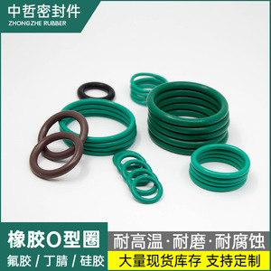 Fluororubber O-<b>Ring</b> 460075331 For Roots Pump Mechanical Seals High Temperature Resistance Wear And Corrosion Resistant - Product Image 5