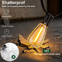 Guirlandes lumineuses LED personnalisées 24V IP44 en PVC, ampoules PET incassables longue durée, solutions d'éclairage extérieur à économie d'énergie