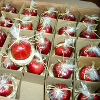 Bougie parfumée aux fruits Pomme Rouge, Huile parfumée longue durée, Faite à la main, Barres parfumées pour les fêtes de Diwali, Arôme respectueux de l'environnement