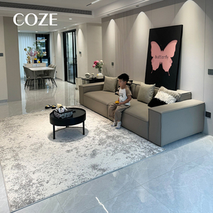 Nouveau design 2026 - Tapis imperméable simple et haut de gamme pour salon et chambre à coucher - Product Image 5