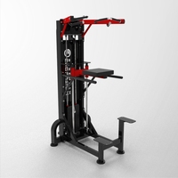 Machine commerciale d'assistance pour tractions et dips, sélectionnée par les professionnels, pour l'entraînement progressif de la force supérieure du corps