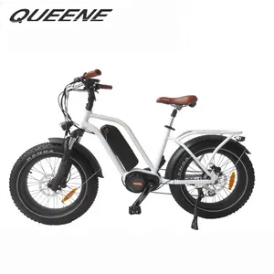 QUEENE/电动自行车2024胖电动自行车沙滩电动自行车雪ebike