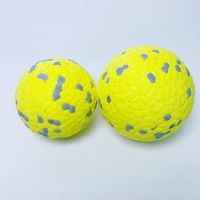HS balle à mâcher pour animaux de compagnie haute élasticité ETPU chien chiot balle Interactive en plein air jouet d'entraînement jouets boule à mâcher