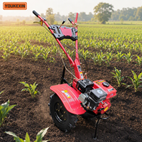 Mini Cultivadora Diésel de Accionamiento Directo Ykx, Bajo Consumo de Combustible, Tipo de Conexión Directa, OEM ODM para Proveedores Agrícolas
