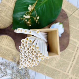 Cannucce di Carta Bianche Biodegradabili Ecologiche Monouso per Frappè, Produzione di Fabbrica - Product Image 6