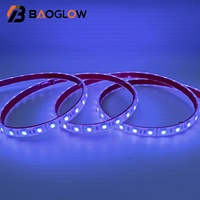 Bande lumineuse LED de Noël pour l'extérieur, étanche IP68, pour la rue, les bars, le rétroéclairage, les murs, les lampes LED, l'éclairage décoratif de piscine