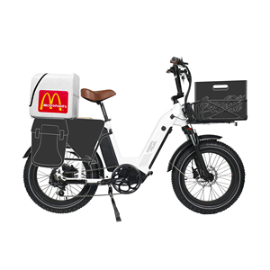 <span class=keywords><strong>2023</strong></span> Offre Spéciale Cargo Ebike 750w Fat Wheel Vélo électrique parfait pour la famille et les déplacements - Product Image 5