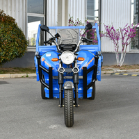 Tricycle électrique de fret à trois roues, fabriqué en Chine, personnalisable, à benne basculante, en vente chaude