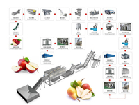Eenvoudige Bediening Fruitpers Riem Juicer Machine