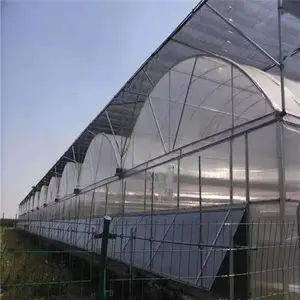 Hot Sale Factory Price Greenhouse Polycarbonate Greenhouse Growing Tomato On Agricultural