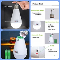 OTHC- AY928 Bombilla LED Recargable de 20W, Fabricante OEM/ODM, Linterna de Camping Portátil Súper Brillante e Impermeable con Batería de Respaldo