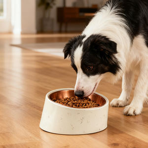 Bol pour animaux de compagnie incliné et surélevé ergonomique avec base antidérapante, favorisant une digestion facile, fabriqué en mélamine durable - Product Image 2