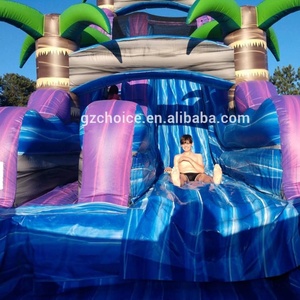 Trượt Nước Inflatable Lớn Với Bể Bơi Trượt Nước Thương Mại - Product Image 4