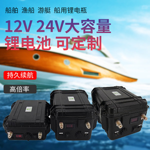 Batterie lithium-ion 12V 100Ah LiNiMnCoO2 pour systèmes électriques - Product Image 5