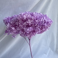 Fleur séchée naturelle de qualité supérieure, Hortensia Anna, toucher réel, cadeau pour la Saint-Valentin, Noël, décoration d'intérieur