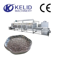 Nouvelle machine de stérilisation automatique industrielle à micro-ondes pour graines de chia KLD