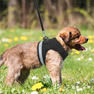 Ajustável Puppy Dog Vest Collar Luzes Reflexivas XS-XL Cat Kitten <span class=keywords><strong>Harness</strong></span> Pet Outdoor Walking Leash <span class=keywords><strong>Rabbit</strong></span> Collar Rope - Product Image 3
