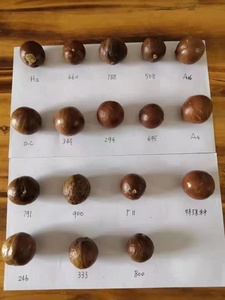 Nuez De <span class=keywords><strong>Macadamia</strong></span> Giá Tại Trung Quốc, Giá Rẻ Nhất <span class=keywords><strong>MACADAMIA</strong></span> <span class=keywords><strong>Nuts</strong></span>, <span class=keywords><strong>Macadamia</strong></span> Nut Chế Biến Thực Vật Sản Phẩm - Product Image 6