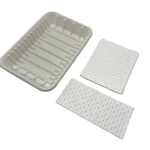 Biodegradable Degradable Absorbent Meat Tray Pad, DMPAD Core Type, 130*100mm, 23 ml/pcs