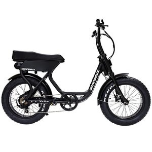 Bicicleta Eléctrica ATV08 E con Neumáticos Gruesos de 20 Pulgadas, 250W/750W, 48V, 10/20Ah, Envío Directo desde EE. UU. y la UE - Product Image 3