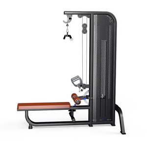 <span class=keywords><strong>YONG</strong></span> <span class=keywords><strong>WANG</strong></span> Équipement de fitness : Machine de tirage vertical (Lat Pull) et d'appareil de rameur (Low Row) à charge par broches, en acier, modèle universel d'exercice YW-1552, avec coffret en bois - Product Image 1