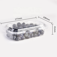 Contenitore in Plastica Trasparente PET per Frutta, Scatola Blister per Mirtilli, Confezione Clamshell per Mirtilli