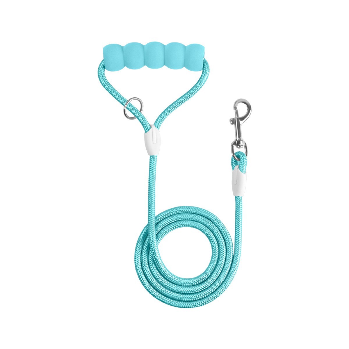 Laisse bleue
