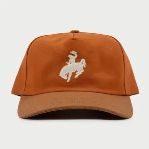 All'ingrosso Logo personalizzato Western Cowboy 5 pannelli papà cappelli da Baseball non strutturati cappello a 5 pannelli a bordo curvo