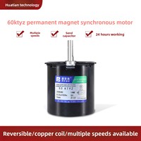 Moteur synchrone à aimant permanent micro AC 220V/60KTYZ à basse vitesse / Moteur à engrenages 14W à faible vitesse / Petit moteur à basse vitesse